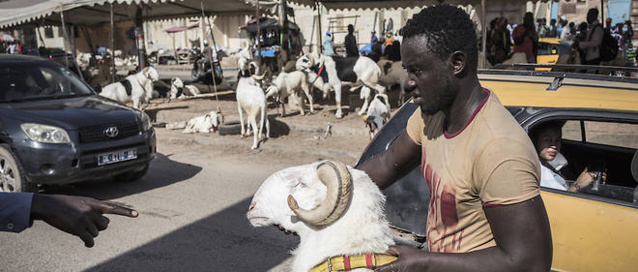 Tabaski : la Commission nationale fixe la date Tabaski : la Commission nationale fixe la date