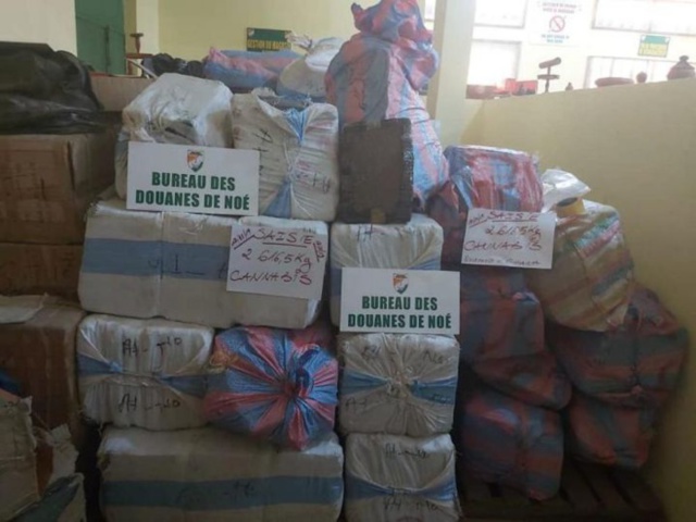 Côte d'Ivoire: saisie de près de trois tonnes de cannabis Côte d'Ivoire: saisie de près de trois tonnes de cannabis