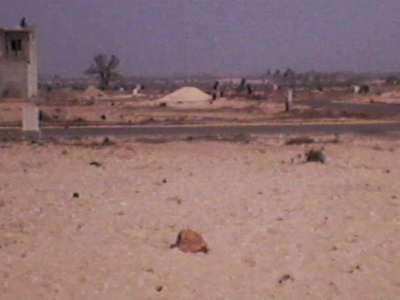 Affaire foncière : dix personnes dont le chef de village de Thiaoune Kounta, déférées