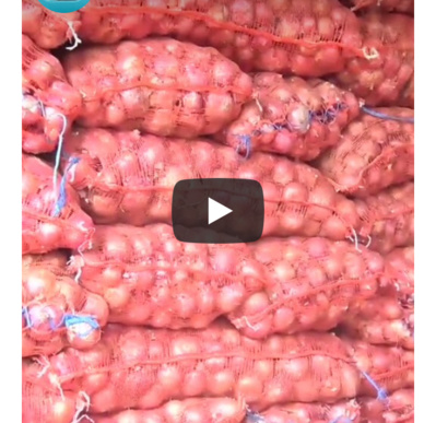 Thiès: les sacs d'oignon et de pomme de terre s'envolent, 9500 et 13000 F CFA respectivement Thiès: les sacs d'oignon et de pomme de terre s'envolent, 9500 et 13000 F CFA respectivement