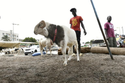 Pour les Sénégalais, la note salée de la Tabaski Pour les Sénégalais, la note salée de la Tabaski
