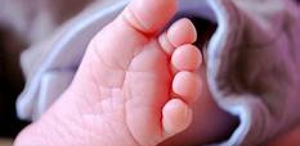 Cap-Skirring : il confond le bébé de deux ans avec un lapin et l’égorge Cap-Skirring : il confond le bébé de deux ans avec un lapin et l’égorge
