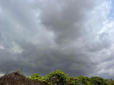 Météo : Des pluies attendues cette nuit à Dakar et dans plusieurs régions. Météo : Des pluies attendues cette nuit à Dakar et dans plusieurs régions.