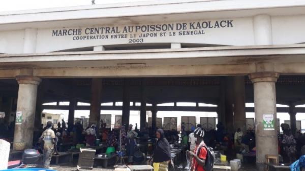 ​Grève au marché du poisson à Kaolack – Les mareyeurs croisent les bras de mercredi à vendredi
