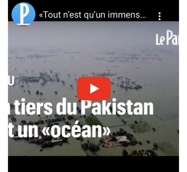 Tout n’est qu’un immense océan» : un tiers du Pakistan est sous les eaux