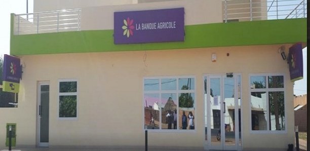 1,2 milliard volés à Banque agricole : un directeur, son épouse et son beau-frère dans le coup 1,2 milliard volés à Banque agricole : un directeur, son épouse et son beau-frère dans le coup