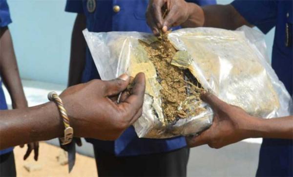 Trafic de drogue: Les époux Camara arrêtés avec cinq kilos de Cannabis à Thiénaba