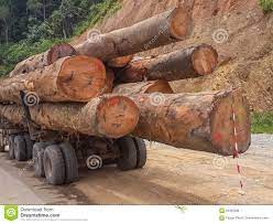 KÉDOUGOU : 356 TRONCS D’ARBRE SAISIS CE WEEK-END (IREF) KÉDOUGOU : 356 TRONCS D’ARBRE SAISIS CE WEEK-END (IREF)