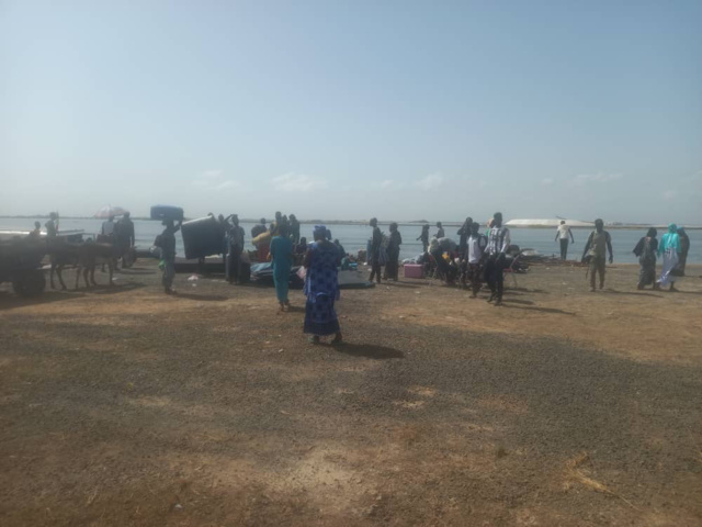Médina Baye: 53 pirogues remplies de fidèles venues des Iles Saloum, accueillies par Serigne Mboup Médina Baye: 53 pirogues remplies de fidèles venues des Iles Saloum, accueillies par Serigne Mboup