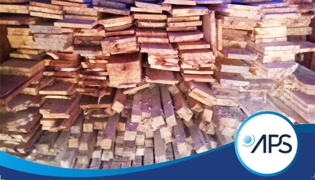 VÉLINGARA : DES GENDARMES SAISISSENT 45 PLANCHES DE BOIS DE KAPOTIER VÉLINGARA : DES GENDARMES SAISISSENT 45 PLANCHES DE BOIS DE KAPOTIER