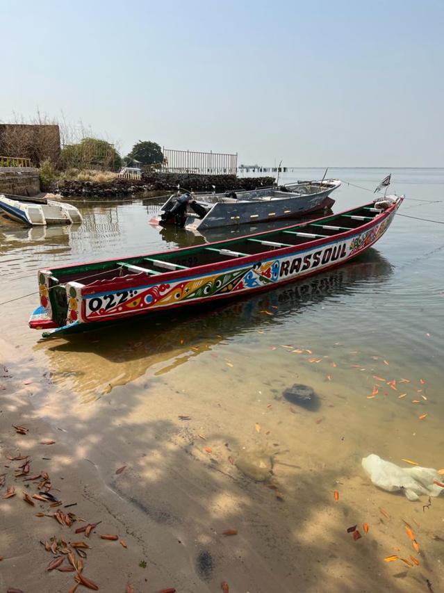Encore une saisie de 507 kg de drogue- La douane fait un carton ! Encore une saisie de 507 kg de drogue- La douane fait un carton !
