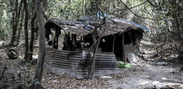 Terrorisme international : La police fait tomber un polono-guinéen qui avait implanté un camp d'entraînement à Kolda Terrorisme international : La police fait tomber un polono-guinéen qui avait implanté un camp d'entraînement à Kolda