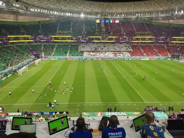 La composition officielle des Lions contre les Pays-Bas