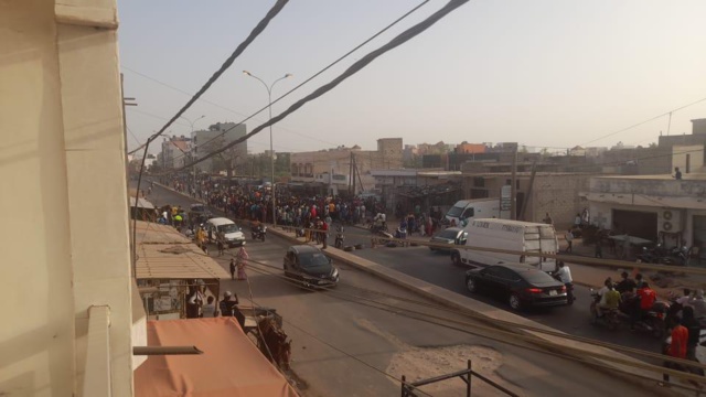 Victoire des lions : le petit Bassirou, heurté par une charrette alors qu'il jubilait, n'a pas survécu ! Victoire des lions : le petit Bassirou, heurté par une charrette alors qu'il jubilait, n'a pas survécu !