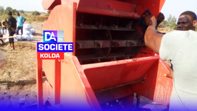 KOLDA : une batteuse d'arachide broie un cultivateur à Counfarang