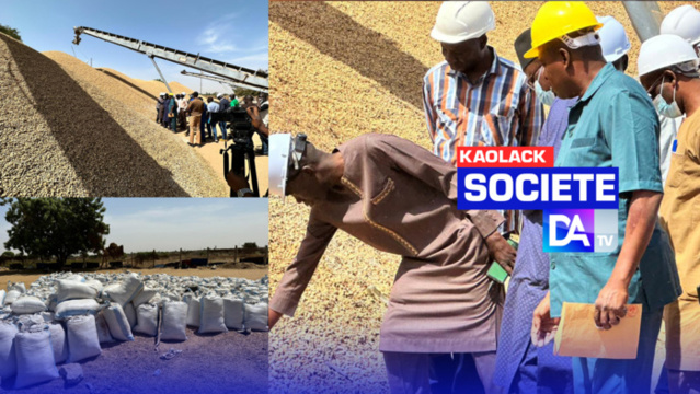 Kaolack- Manque de graines d'arachide à la Sonacos Lyndiane/ Décision de se séparer des saisonniers : Plusieurs pères de famille sur le qui vive Kaolack- Manque de graines d'arachide à la Sonacos Lyndiane/ Décision de se séparer des saisonniers : Plusieurs pères de famille sur le qui vive
