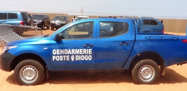 Diogo : Le face-à-face nocturne entre les gendarmes et l'ouvrier agricole qui avait volé 2 bœufs Diogo : Le face-à-face nocturne entre les gendarmes et l'ouvrier agricole qui avait volé 2 bœufs