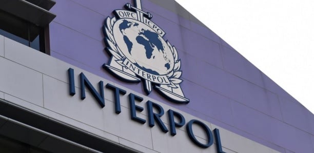 Recherché par Interpol-Congo : Un Guinéen arrêté par la police à Kolda Recherché par Interpol-Congo : Un Guinéen arrêté par la police à Kolda