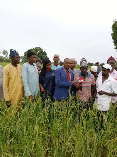 Bacary Balde : un Maire à la vision atypique. Bacary Balde : un Maire à la vision atypique.