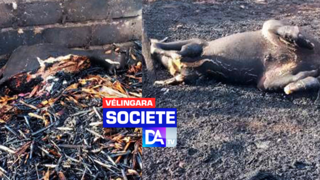 Vélingara : Saré Sawady complètement ravagé par un violent incendie...