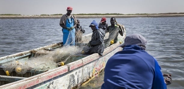 AFFAIRE DES PÊCHEURS DE CAYAR ET DE MBORO : Le procès renvoyé à nouveau en audience spéciale au vendredi 5 mai AFFAIRE DES PÊCHEURS DE CAYAR ET DE MBORO : Le procès renvoyé à nouveau en audience spéciale au vendredi 5 mai