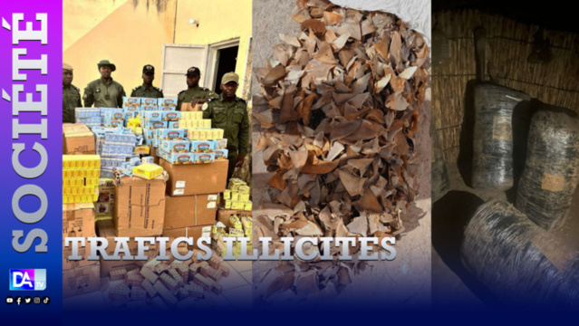 Trafics illicites à Saint Louis, Mbour et Rufisque : La douane opère des saisies d’une contre valeur de 138 millions de francs CFA Trafics illicites à Saint Louis, Mbour et Rufisque : La douane opère des saisies d’une contre valeur de 138 millions de francs CFA