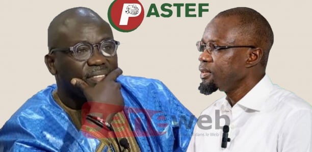 Pastef : les sombres prédictions de Cheikh Yérim Seck Pastef : les sombres prédictions de Cheikh Yérim Seck