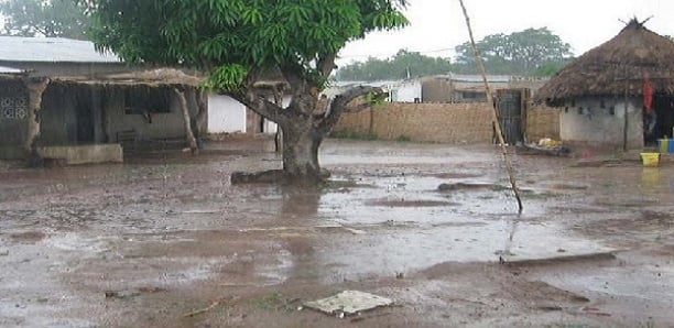 HIVERNAGE 2023 : Koungheul enregistre ses premières pluies HIVERNAGE 2023 : Koungheul enregistre ses premières pluies