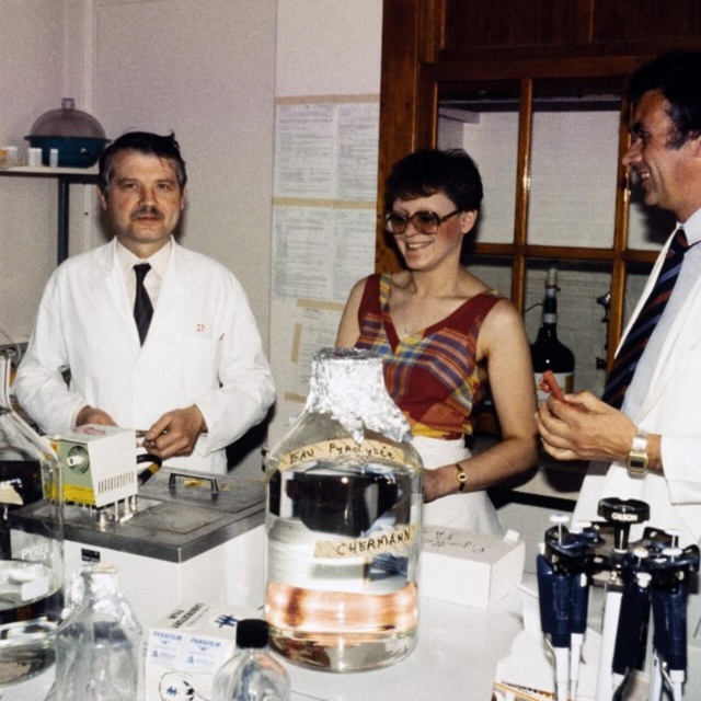 Il y a 40 ans, des chercheurs français découvraient le virus du Sida