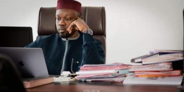 AVC chez les primates ! AVC chez les primates !