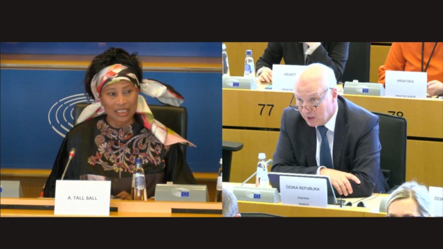 Parlement européen : Me Aïssata Tall Sall interpellée sur un éventuel 3e mandat de Macky Sall Parlement européen : Me Aïssata Tall Sall interpellée sur un éventuel 3e mandat de Macky Sall