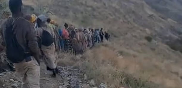 Des "centaines" de migrants éthiopiens tués par les gardes-frontières saoudiens, dénonce une ONG Des "centaines" de migrants éthiopiens tués par les gardes-frontières saoudiens, dénonce une ONG