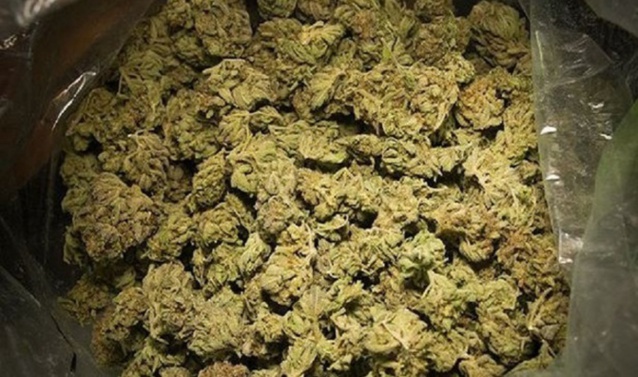 Lutte contre le trafic de drogue : Un individu interpellé avec 76 kg de chanvre indien Lutte contre le trafic de drogue : Un individu interpellé avec 76 kg de chanvre indien