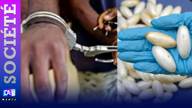 Trafic international de drogue : Fin du long bail du «modou-modou» Dame Lo qui tombe avec 645 pilules Ecstasy Trafic international de drogue : Fin du long bail du «modou-modou» Dame Lo qui tombe avec 645 pilules Ecstasy