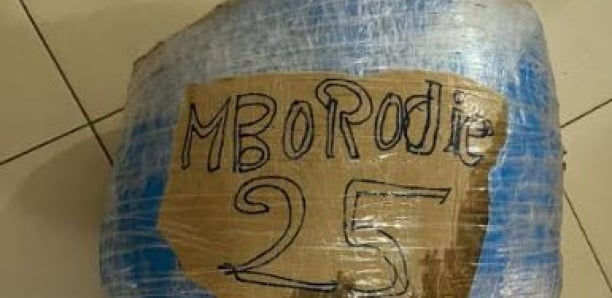 L'OCRTIS frappe dans le milieu interlope : 5 dealers arrêtés et 120 kg de "yamba" saisis L'OCRTIS frappe dans le milieu interlope : 5 dealers arrêtés et 120 kg de "yamba" saisis