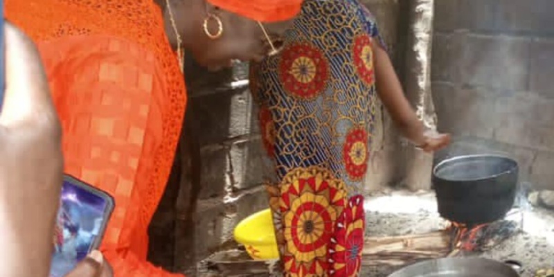 Mimi Touré peint un tableau sombre de BBY dans le Fouta Mimi Touré peint un tableau sombre de BBY dans le Fouta