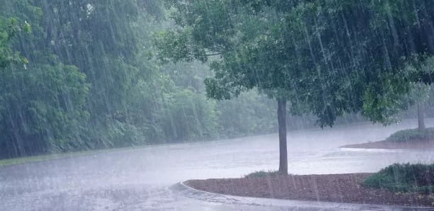 Hivernage : le Sénégal se réveille sous la pluie ce mercredi, ce que prévoit la météo Hivernage : le Sénégal se réveille sous la pluie ce mercredi, ce que prévoit la météo