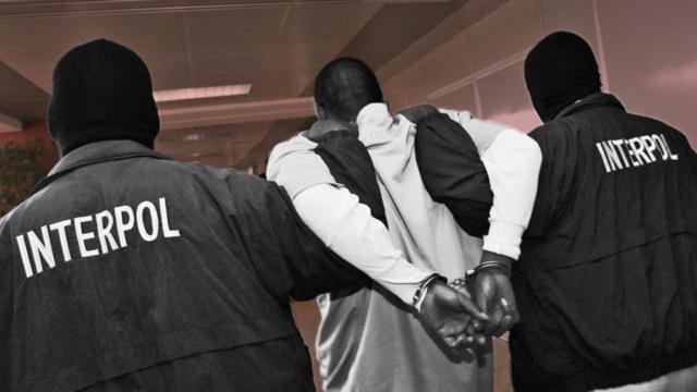 CRIME ORGANISÉ – Des sénégalais, gambiens et français arrêtés par Interpol !