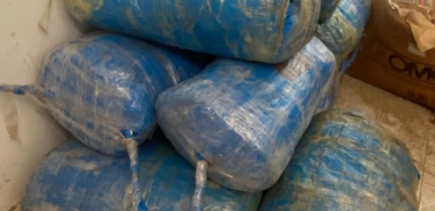 Lutte contre le trafic de drogue : La douane a saisi de l’héroïne d’une valeur de 250 millions F Cfa Lutte contre le trafic de drogue : La douane a saisi de l’héroïne d’une valeur de 250 millions F Cfa