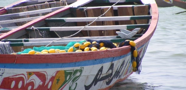 Émigration clandestine : 54 Sénégalais périssent en mer