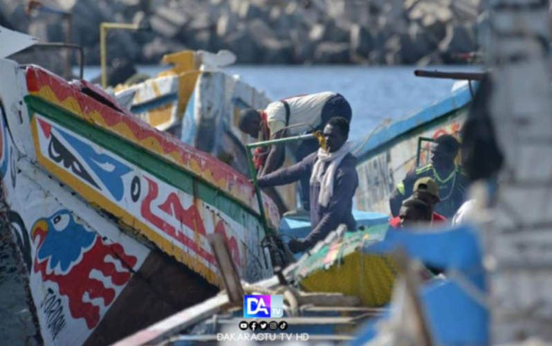 Espagne: 212 migrants clandestins partis du Sénégal, débarquent à El Hierro Espagne: 212 migrants clandestins partis du Sénégal, débarquent à El Hierro