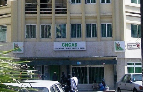 ​Malick Ndiaye devient DG de la CNCAS