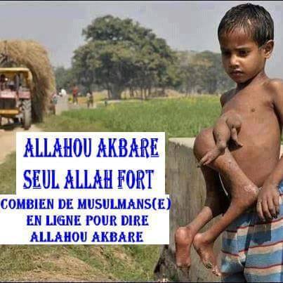 ARRET SUR IMAGE:Cent commentaires! ARRET SUR IMAGE:Cent commentaires!