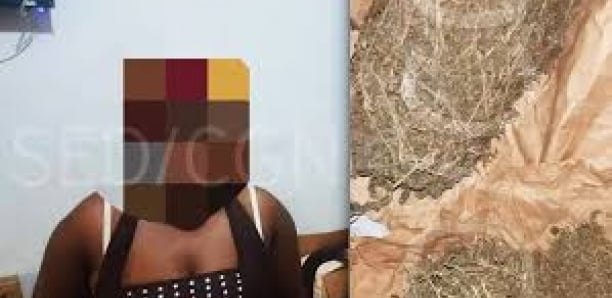 Trafic de drogue : Les gendarmes de Keur Massar, la dealeuse et la cavale Trafic de drogue : Les gendarmes de Keur Massar, la dealeuse et la cavale