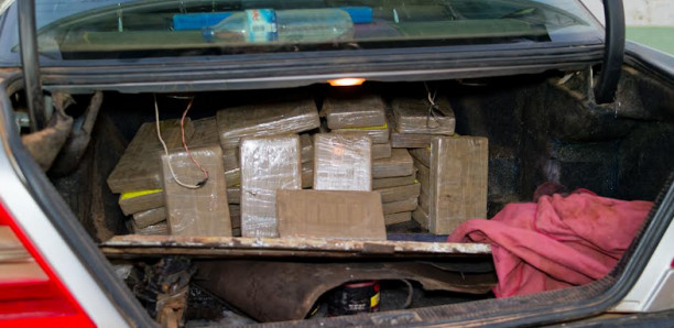 Douanes : 91,84 kg de cocaïne interceptés sur l'axe Tambacounda-Koumpentoum… le récit de la saisie Douanes : 91,84 kg de cocaïne interceptés sur l'axe Tambacounda-Koumpentoum… le récit de la saisie
