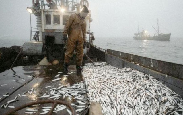 DR FATOU DIOUF PUBLIE LA LISTE DES NAVIRES AUTORISES A PECHER DANS EAUX SOUS JURIDICTION SENEGALAISE DR FATOU DIOUF PUBLIE LA LISTE DES NAVIRES AUTORISES A PECHER DANS EAUX SOUS JURIDICTION SENEGALAISE