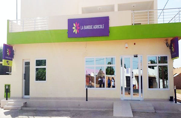 DIRECTION DE LA BANQUE AGRICOLE DU SÉNÉGAL- Fatma Fall Dièye, ex adjointe de Cheikh Ba, désormais aux commandes ! DIRECTION DE LA BANQUE AGRICOLE DU SÉNÉGAL- Fatma Fall Dièye, ex adjointe de Cheikh Ba, désormais aux commandes !