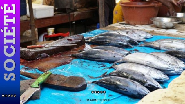 Palais de justice: une vendeuse de poisson arrêtée en possession de Hashich prend 15 jours fermes de prison Palais de justice: une vendeuse de poisson arrêtée en possession de Hashich prend 15 jours fermes de prison