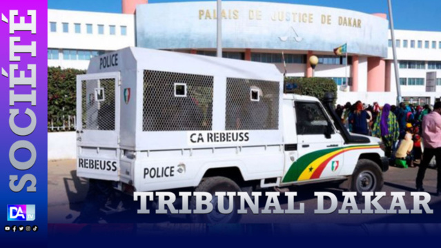 Palais de justice : Un agent immobilier par l'entremise d'un voleur, subtilise un montant de 11 millions dans l'appartement de son ami