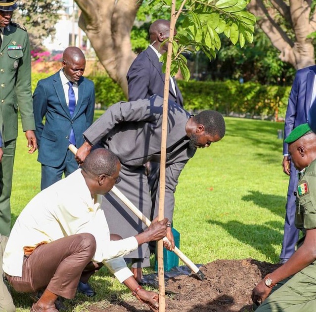 LE PRÉSIDENT DIOMAYE FAYE PLANTE UN ARBRE EN SYMBOLE D’ESPOIR LE PRÉSIDENT DIOMAYE FAYE PLANTE UN ARBRE EN SYMBOLE D’ESPOIR